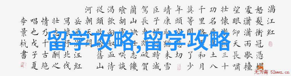 揭秘新加坡私立本科申请公立硕士秘籍